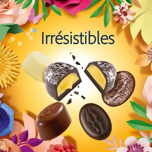 Irrésistibles View