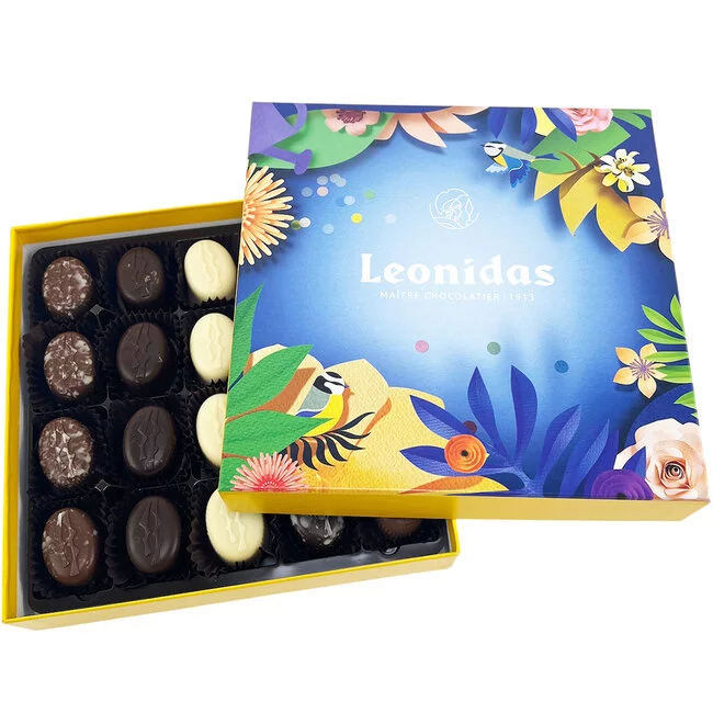 Leonidas Spring Gift Box with 20 Irrésistible Chocolates