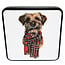 Border Terrier Blik met Vanillefudge 120g
