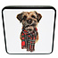 Decorative Border Terrier Tin Filled with Vanilla Fudge 120g