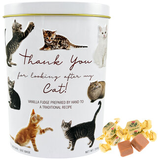 Boîte métallique (Thank You - Cat) Fudge à la vanille 250g