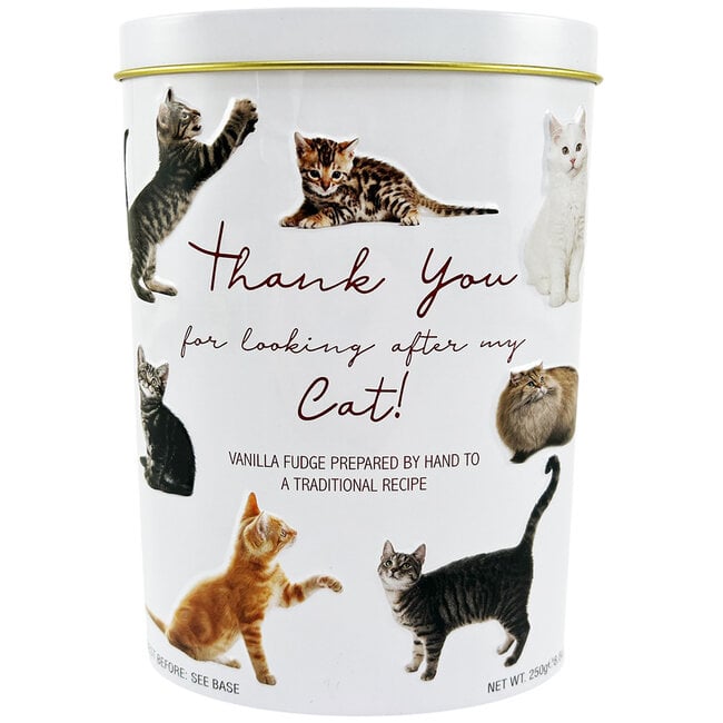 Thank You Cat Tin Vanilla Fudge 250g (250g)