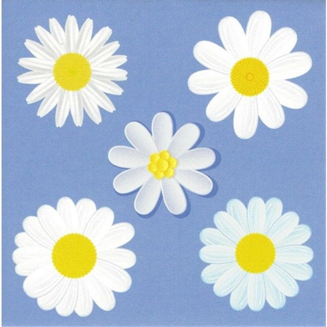 Grußkarte 'Gänseblümchen' (7x7cm)