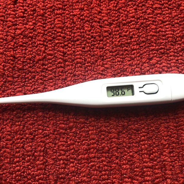 Thermometer Digital Flexible Tip