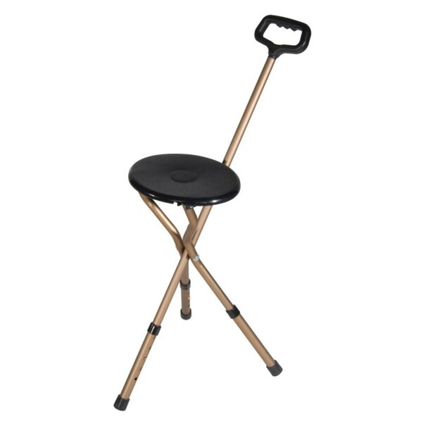 Seat Cane - Adjustable Height